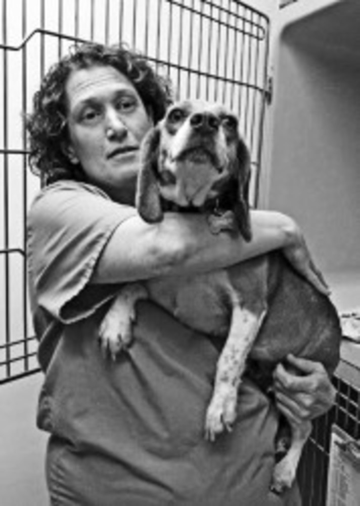Dr. Paige Plumb checks on a resscue dog /Naomi Geller Lipsky